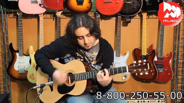 Акустическая гитара HOHNER HW200 N смотреть онлайн
