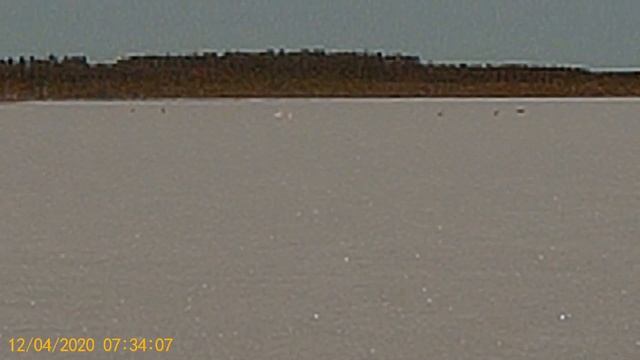 ОКУНЬ на ЛЕСНОМ ОЗЕРЕ!.(Рыбалка и красота Карелии!!!) смотреть онлайн