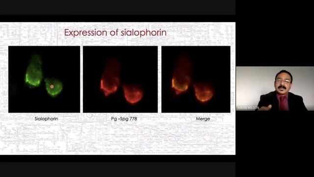 Session 1 “Synthetic Microbiome”- redefining “Host-pathogen modulations” by Prof. Wilson Aruni смотреть онлайн