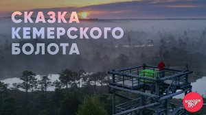 Ночь на болоте. Кемерский национальный парк.