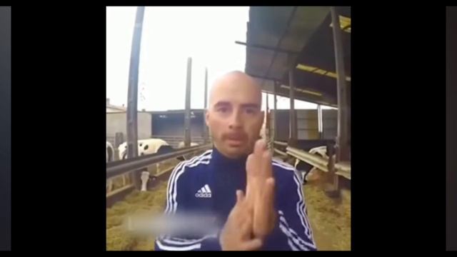 пародия и неповторимый оригинал смотреть онлайн
