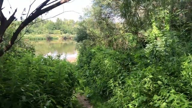 Стерлядь не давала рыбачить, она клевала на всё!!! смотреть онлайн