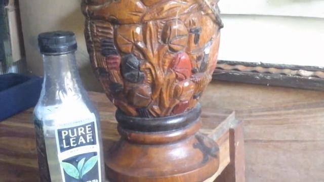 Star Leaf NU Cricket Song