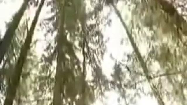 СОСУДЫ. НЕУМЫВАКИН И.П. ГИМНАСТИКА ДЛЯ СОСУДОВ. ПРОСТЫЕ УПРАЖНЕНИЯ ПРОДЛЯТ ВАМ ЖИЗНЬ. ТОНУС СОСУДОВ смотреть онлайн