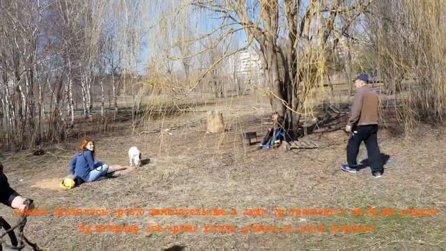 Конфликт в парке Новый город с пьяными посетителями смотреть онлайн