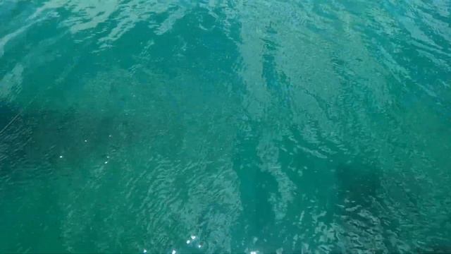 Рыбалка Донузлав Крым 2019 г. смотреть онлайн