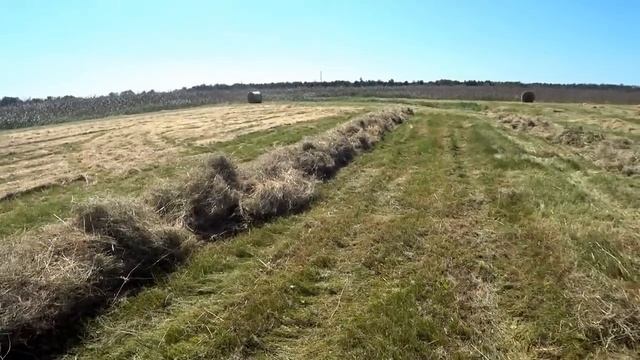 сгребаем прессуем переворачиваем сено сузили грабли для уменьшения валка сена смотреть онлайн