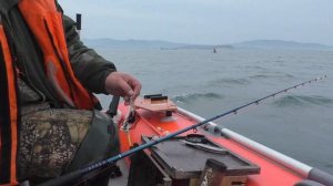 СЕЗОН 2021г ОТЛИЧНО ЛОВИМ КАМБАЛУ И СИМУ ТРОЛЛИНГОМ!!! ЗАЛИВ ВОСТОК НАХОДКА!