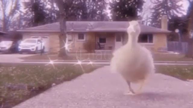 Идеи для названия каналов/имён персонажей/ников смотреть онлайн