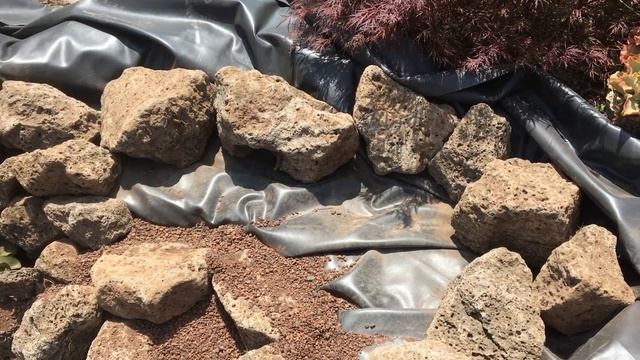 DIY Backyard Garden Pond смотреть онлайн