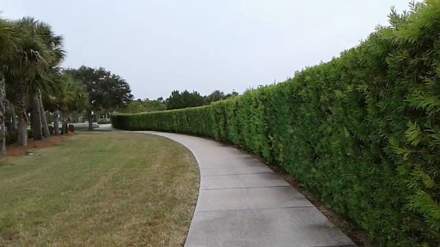 Нинэль. Нежданно негаданно смотреть онлайн