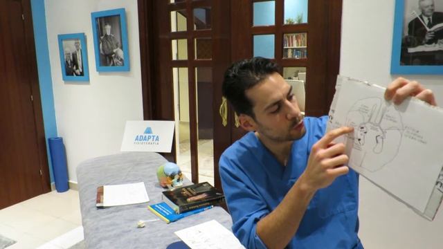 Nervio olfatorio. 1er par craneal. 12 meses 12 pares craneales смотреть онлайн