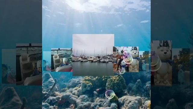 Отдых в Сочи. Зимние каникулы 2017 смотреть онлайн