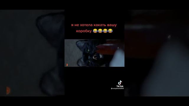 я же не хотела какать в вашу коробку смотреть онлайн