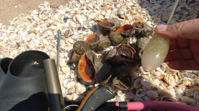 #proкухня Рецепт БУГЮЛЬМЭ из рапанов, рецепт приготовления рапана 2022, крымская кухня 2022 смотреть онлайн