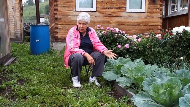 162 Борьба с вредителями и болезнями капусты смотреть онлайн