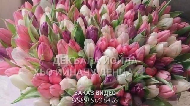 Дала декъала йойла маьрйиш?❤ смотреть онлайн