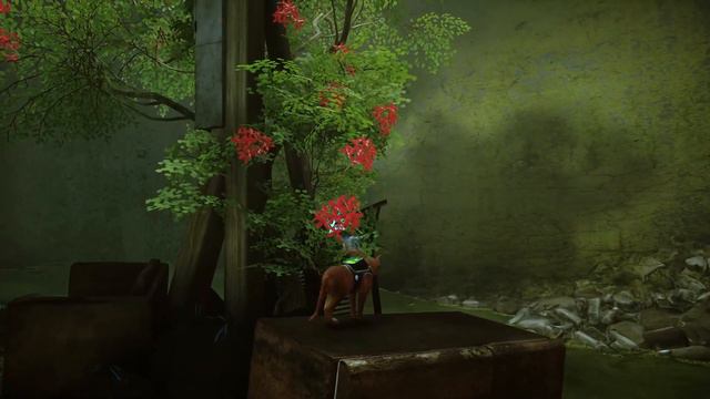 Stray, Найти клементину смотреть онлайн