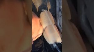 ЗАМЕНА АНТИФРИЗА Форд фокус 3 2012 105 Powershift