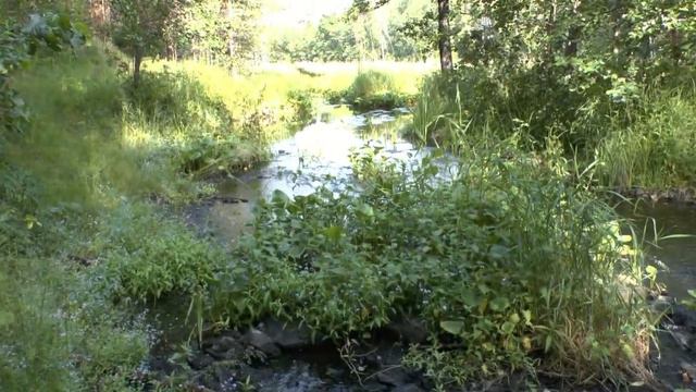 Шедевры природы Урала смотреть онлайн