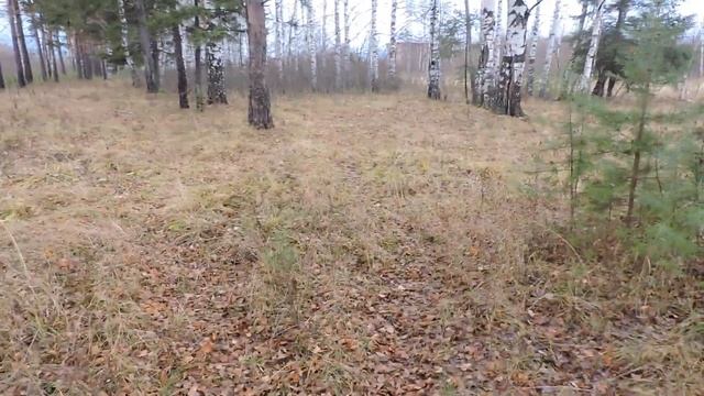 "В конце октября в лесу." смотреть онлайн