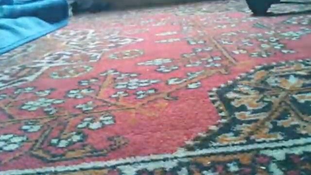 Видео Клип из стикеров смотреть онлайн
