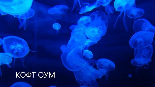 Как стать лучше. Избавление от всего дурного в себе. смотреть онлайн
