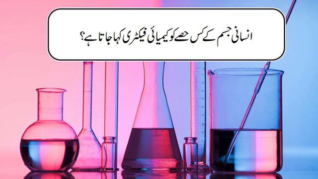 Science Quiz | Zaki Ahmed Zaki Pedia смотреть онлайн