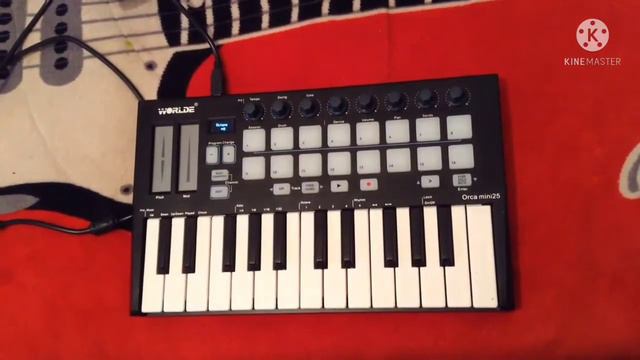 Levels - Avicii | Midi Keyboard Worlde Orca mini 25 Cover instrumental | смотреть онлайн