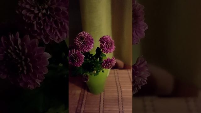 Я ПРОТИВ ТОЙ ЖИЗНИ, В КОТОРОЙ ХОЧЕТСЯ ЗАКУРИТЬ (не видео, а слышио) смотреть онлайн