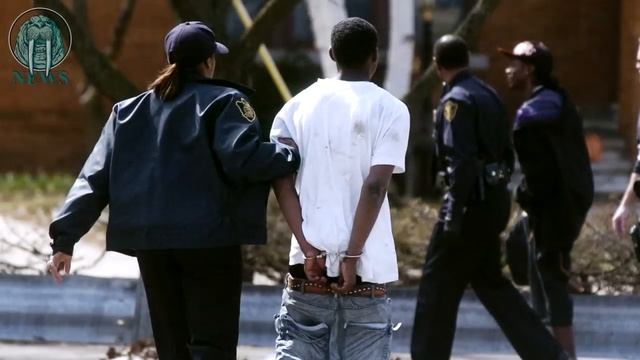 Американец на роликовых коньках попытался угнать карету «скорой» смотреть онлайн