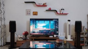 百万发烧友客厅进阶之选 惠威M300KII HIVI SWAN M300KII