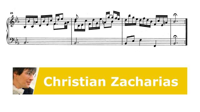 Domenico Scarlatti - Sonata in E flat major K474 (Christian Zacharias) смотреть онлайн