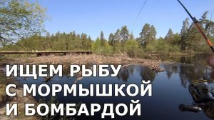 Мормышинг, бомбарда, 6 локаций, разная рыба.