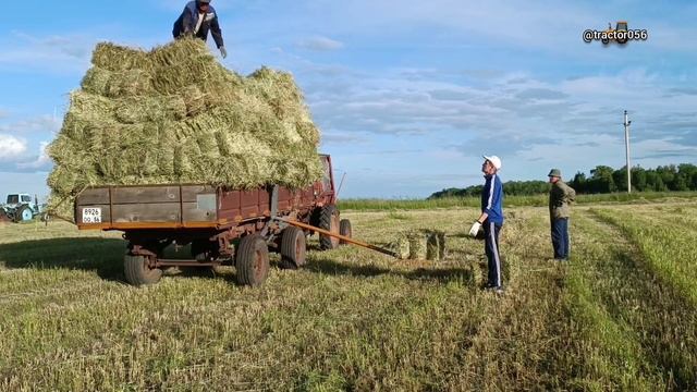 На заготовке кормов