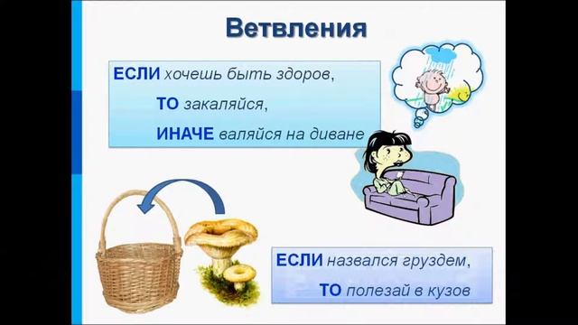 Создание алгоритмов. Информатика. смотреть онлайн