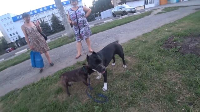 Учебник по Развитию Инноваций