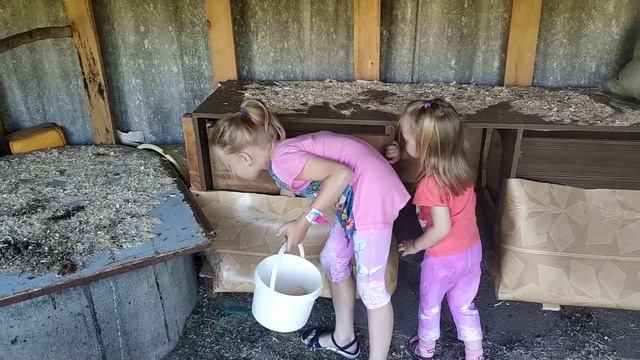 Дачная жизнь, часть 4. Курицы ))) Ника Ника. Советуем посмотреть. смотреть онлайн