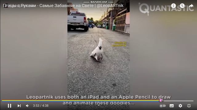 птицы с руками. смотреть онлайн