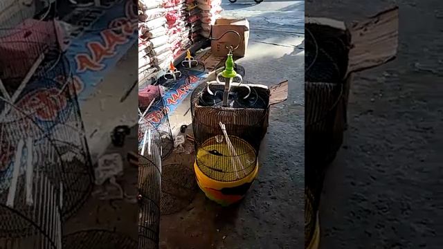 sangkar besi bulat murai diameter 46cm harga di kalimantan timur Rp 375.000,- смотреть онлайн