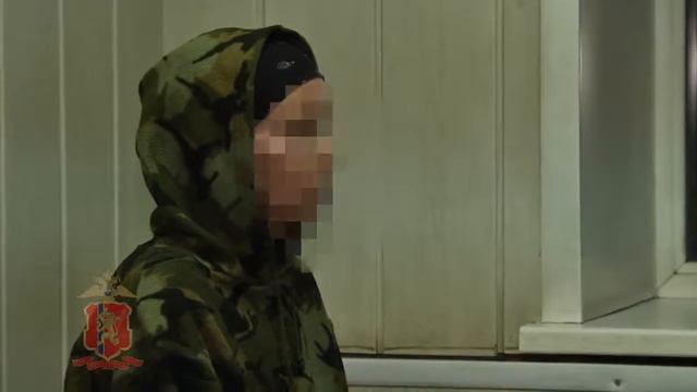 Полиция Красноярска задержала женщину, которая повредила кувалдой религиозное сооружение буддистов смотреть онлайн