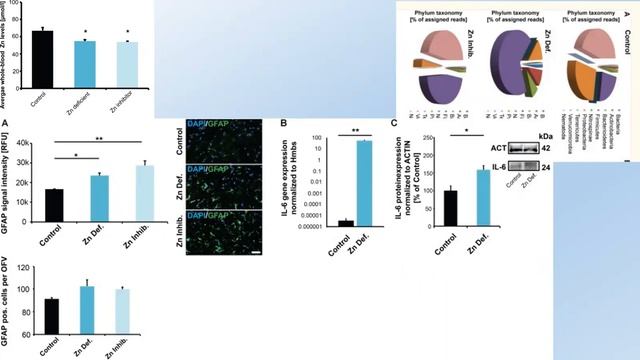 Информативность и значимость анализа микробиома при РАС смотреть онлайн