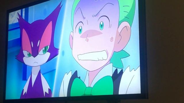 Cilan is still afraid of purrloin смотреть онлайн