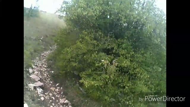 Для просмотра на телефоне. С последней покатушки. смотреть онлайн