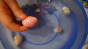 Яйца динозавра -  Маленькие игрушичные динозаврики