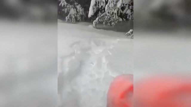 СМЕШНЫЕ КОШКИ 2021 И ДРУГИЕ ЖИВОТНЫЕ СМЕШНЫЕ ЖИВОТНЫЕ 2021 ЛУЧШИЕ ПРИКОЛЫ С КОТАМИ 10 МИНУ смотреть онлайн