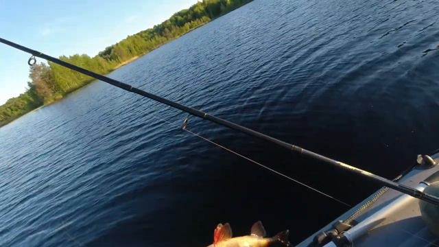 РЫБАЛКА НА СПИННИНГ НА ОКУНЯ смотреть онлайн