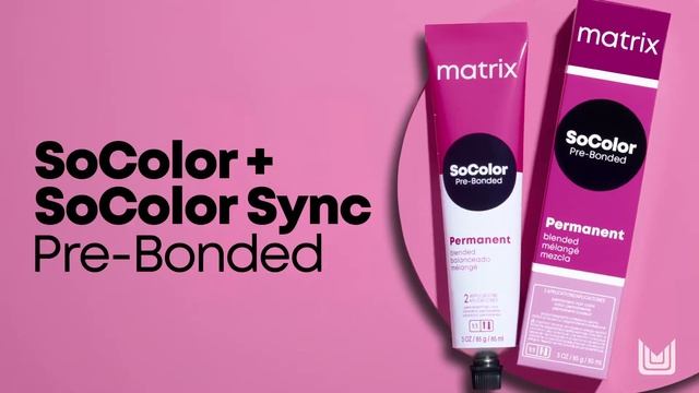 Introducing, NEW SoColor + SoColorSync Pre-Bonded смотреть онлайн