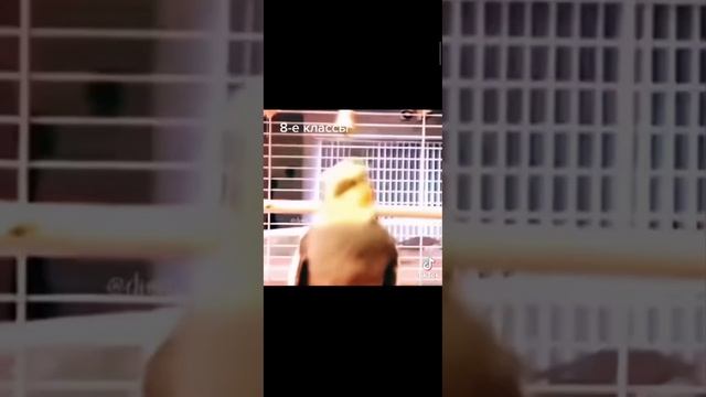 вся школа уходит на каникулы смотреть онлайн