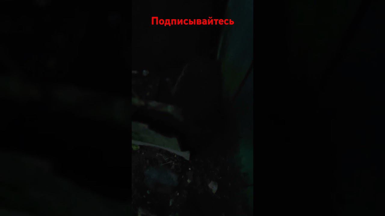 Ëжик в деревне! смотреть онлайн